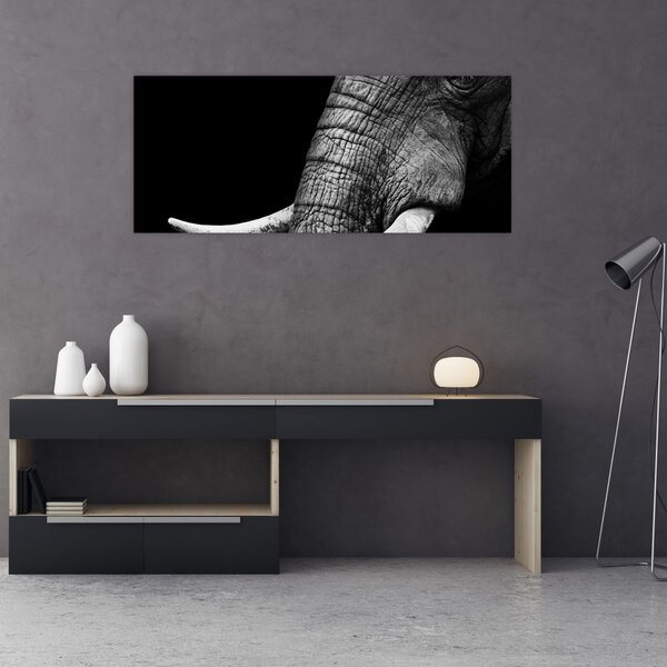 Tablou - Colți de elefant (120x50 cm)
