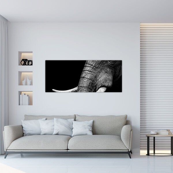 Tablou - Colți de elefant (120x50 cm)