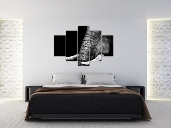Tablou - Colți de elefant (150x105 cm)