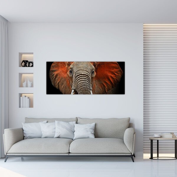 Tablou - Elefanți cu Tsavo (120x50 cm)