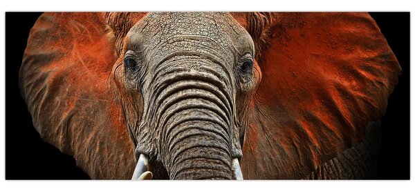 Tablou - Elefanți cu Tsavo (120x50 cm)