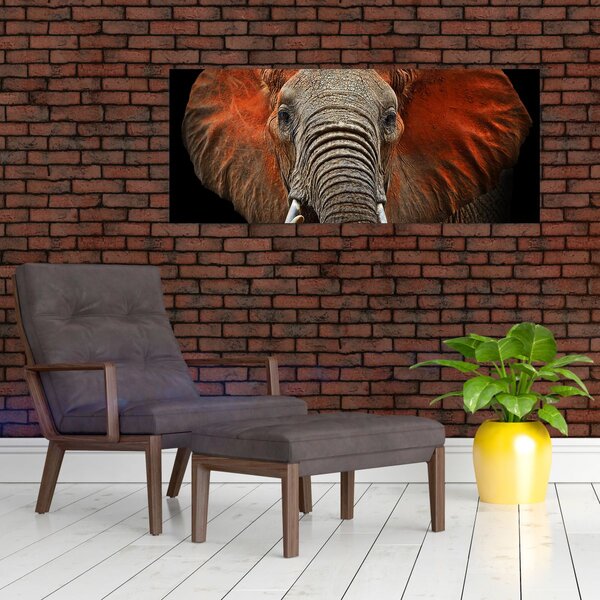Tablou - Elefanți cu Tsavo (120x50 cm)