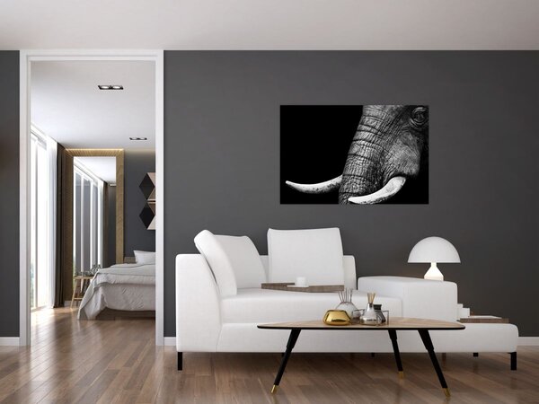Tablou - Colți de elefant (90x60 cm)