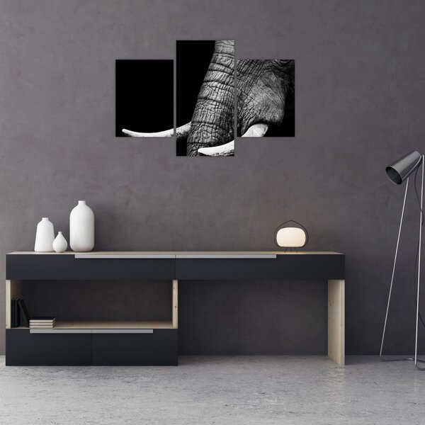 Tablou - Colți de elefant (90x60 cm)