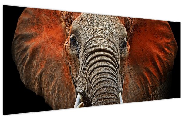 Tablou - Elefanți cu Tsavo (120x50 cm)