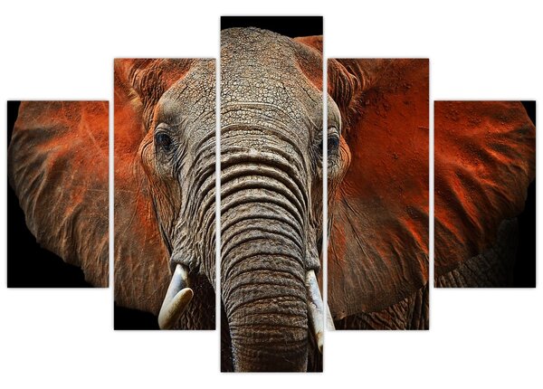 Tablou - Elefanți cu Tsavo (150x105 cm)
