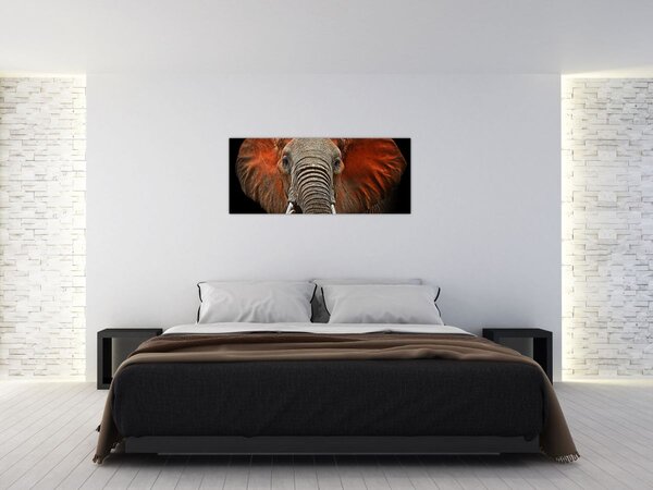 Tablou - Elefanți cu Tsavo (120x50 cm)