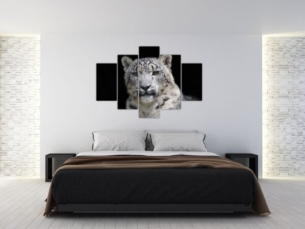 Tablou - Snow Leopard (150x105 cm)