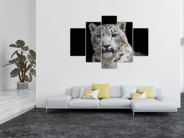 Tablou - Snow Leopard (150x105 cm)
