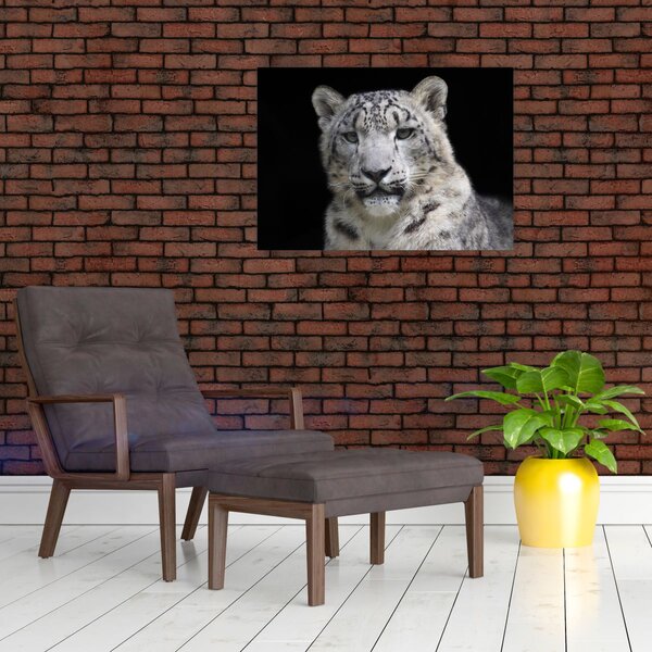 Tablou - Snow Leopard (70x50 cm)