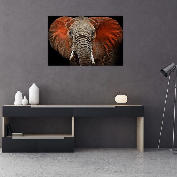 Tablou - Elefanți cu Tsavo (90x60 cm)