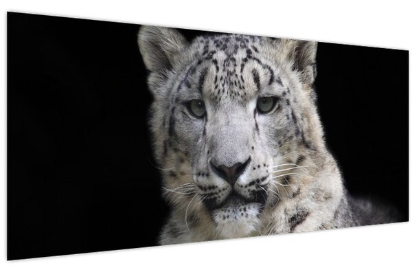 Tablou - Snow Leopard (120x50 cm)