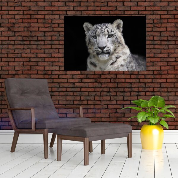 Tablou - Snow Leopard (90x60 cm)