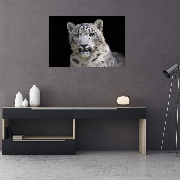 Tablou - Snow Leopard (90x60 cm)