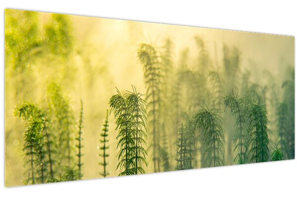 Tablou - Detaliu de primăvară natura cețoasă (120x50 cm)
