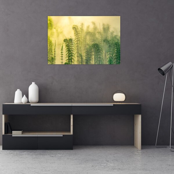 Tablou - Detaliu de primăvară natura cețoasă (90x60 cm)