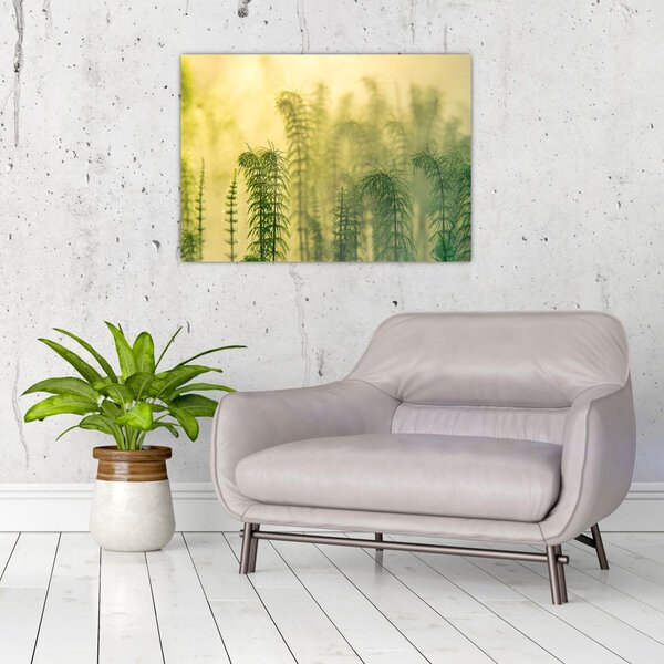 Tablou - Detaliu de primăvară natura cețoasă (70x50 cm)