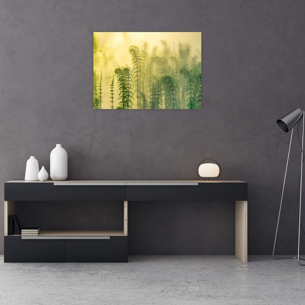 Tablou - Detaliu de primăvară natura cețoasă (70x50 cm)