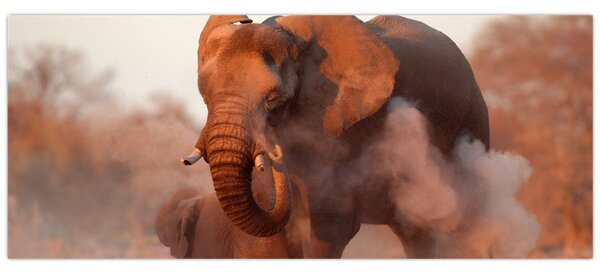 Tablou - Marele elefant african (120x50 cm)