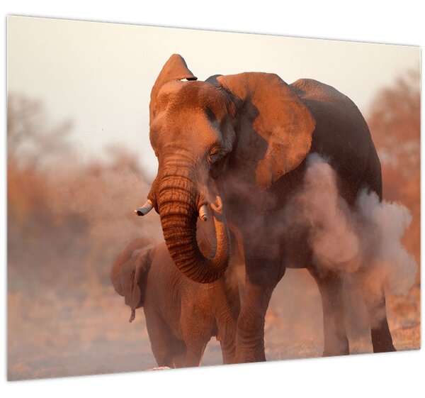 Tablou - Marele elefant african (70x50 cm)