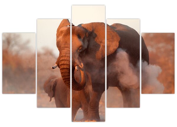 Tablou - Marele elefant african (150x105 cm)
