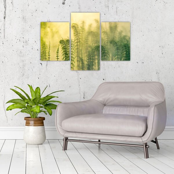 Tablou - Detaliu de primăvară natura cețoasă (90x60 cm)