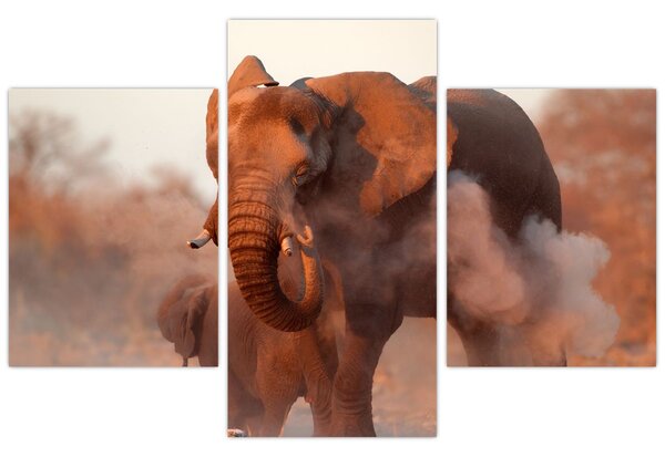 Tablou - Marele elefant african (90x60 cm)