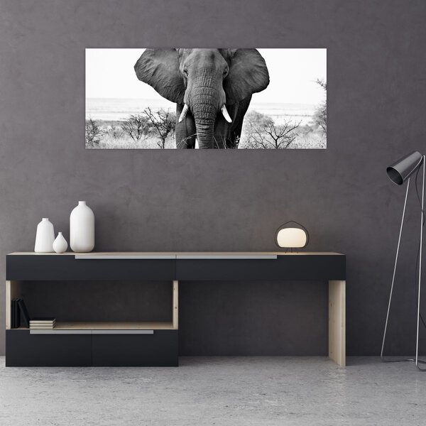 Tablou - Elefantul african II. (120x50 cm)