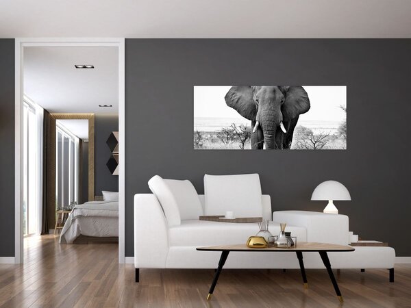 Tablou - Elefantul african II. (120x50 cm)