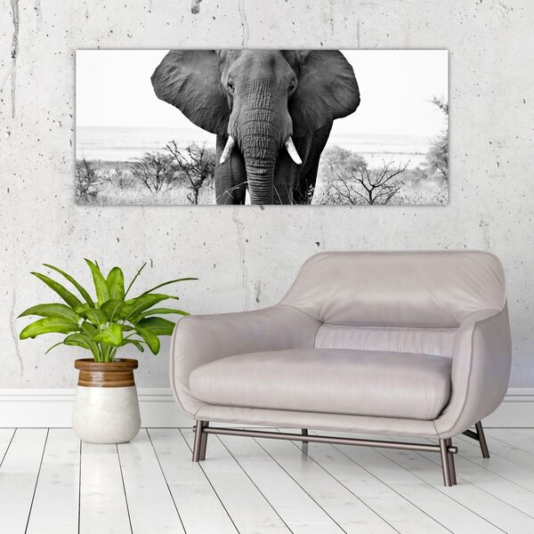 Tablou - Elefantul african II. (120x50 cm)