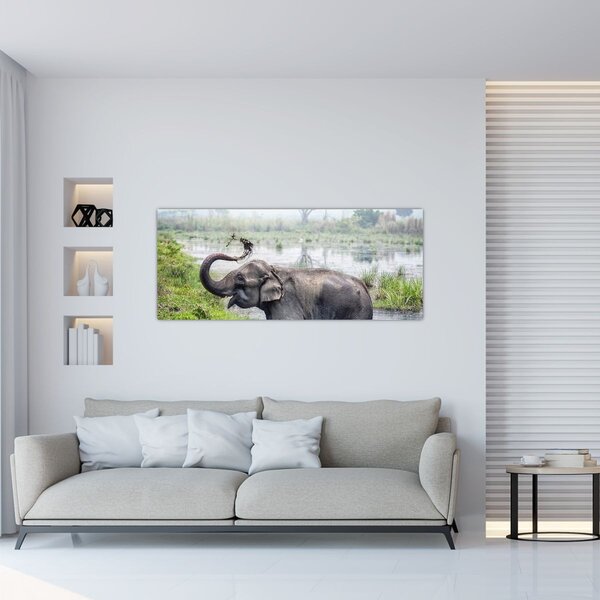Tablou - Elefant de scăldat (120x50 cm)