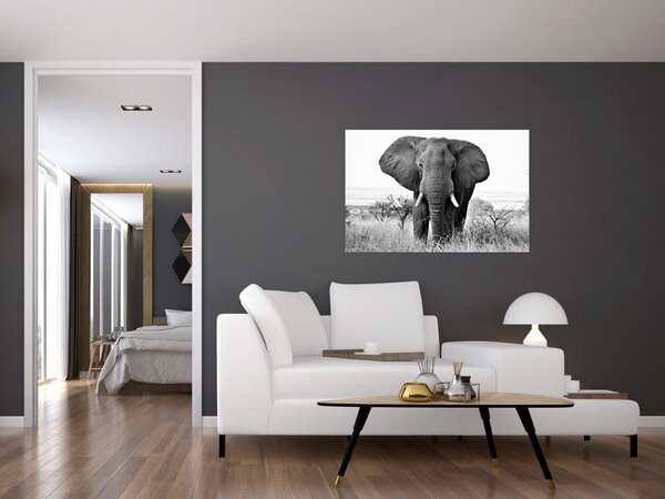 Tablou - Elefantul african II. (90x60 cm)