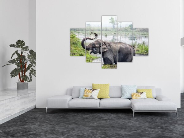 Tablou - Elefant de scăldat (150x105 cm)