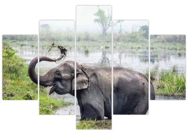 Tablou - Elefant de scăldat (150x105 cm)