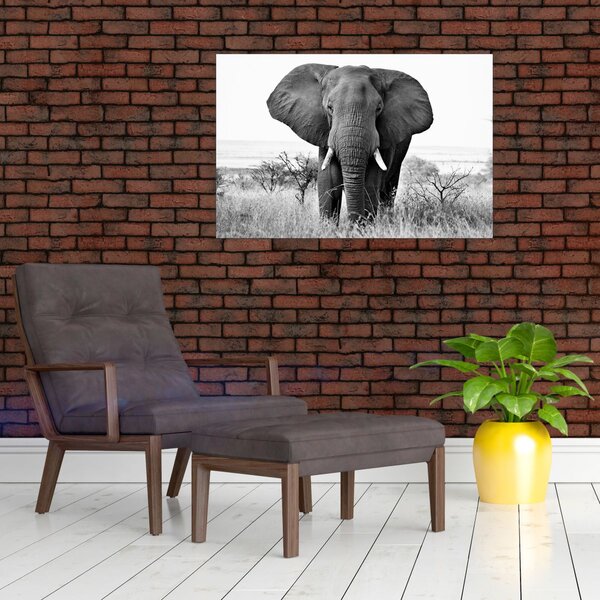 Tablou - Elefantul african II. (90x60 cm)
