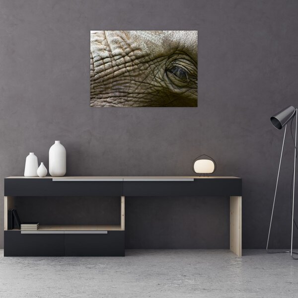 Tablou - Prim-planul ochiului de elefant vechi (70x50 cm)