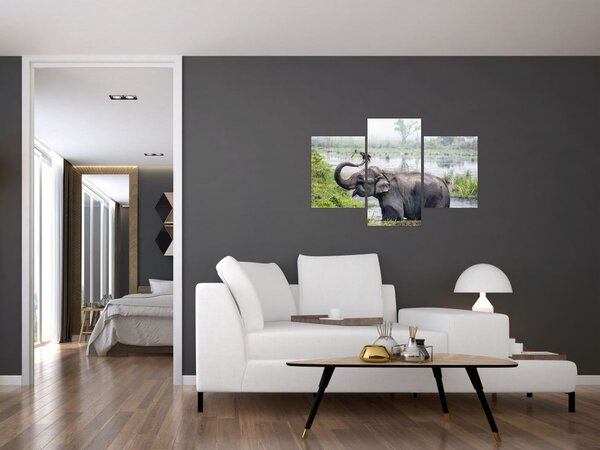Tablou - Elefant de scăldat (90x60 cm)