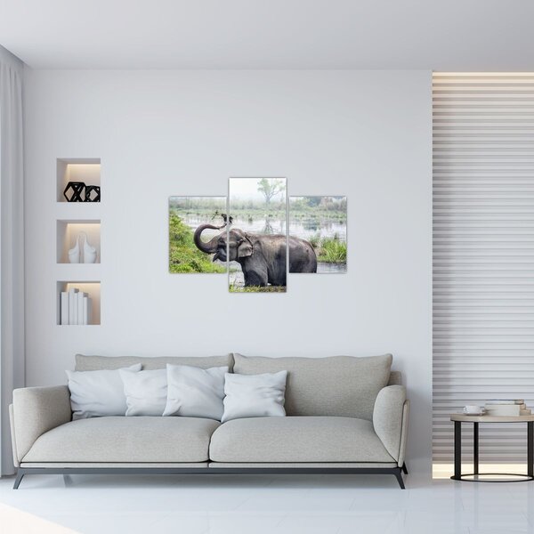 Tablou - Elefant de scăldat (90x60 cm)