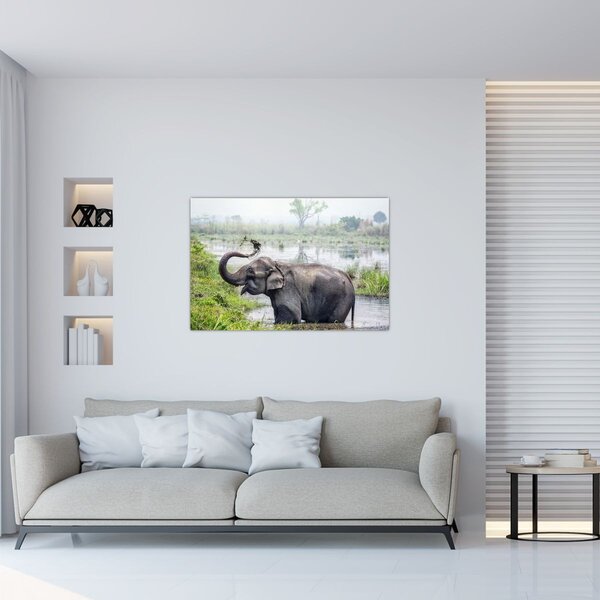Tablou - Elefant de scăldat (90x60 cm)