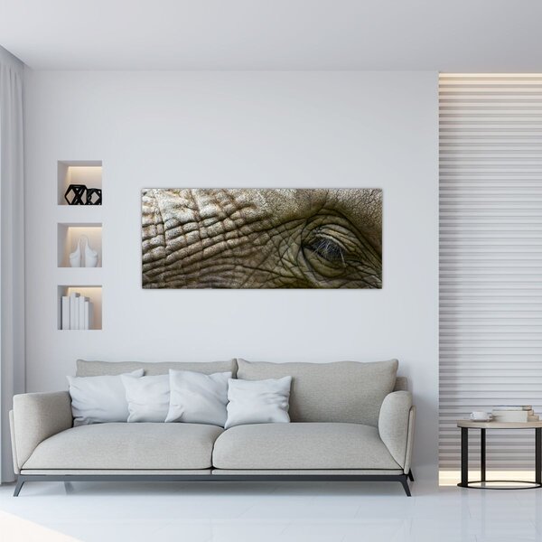 Tablou - Prim-planul ochiului de elefant vechi (120x50 cm)