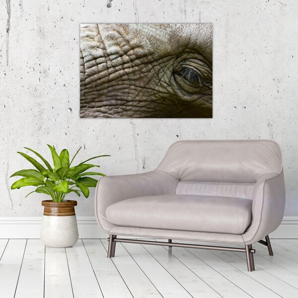 Tablou - Prim-planul ochiului de elefant vechi (70x50 cm)