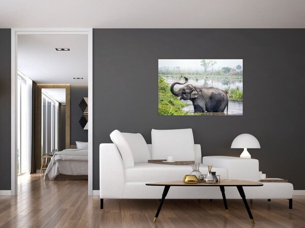 Tablou - Elefant de scăldat (90x60 cm)