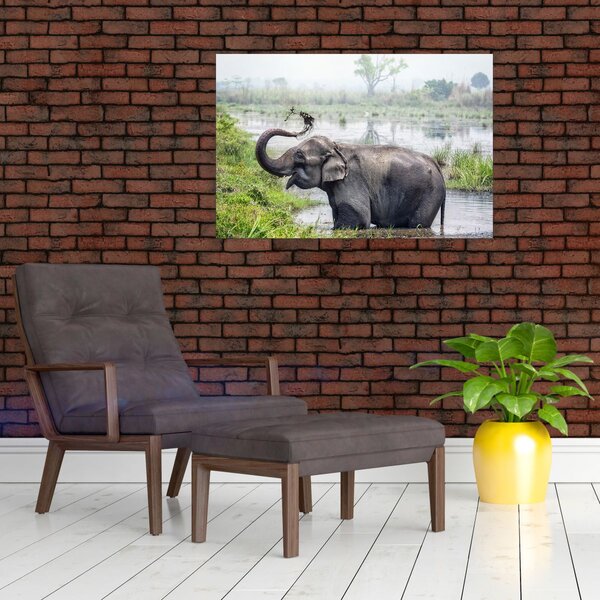 Tablou - Elefant de scăldat (90x60 cm)