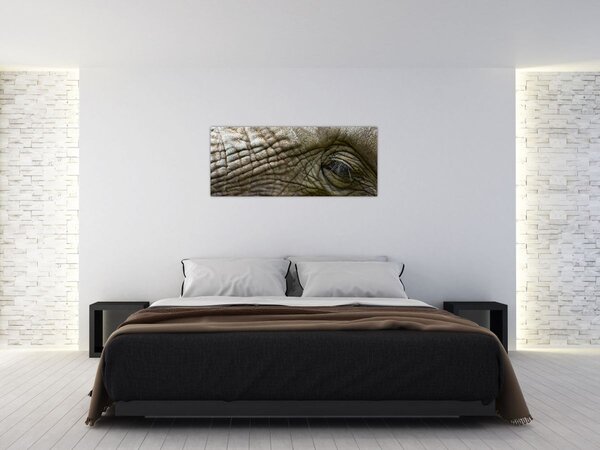 Tablou - Prim-planul ochiului de elefant vechi (120x50 cm)