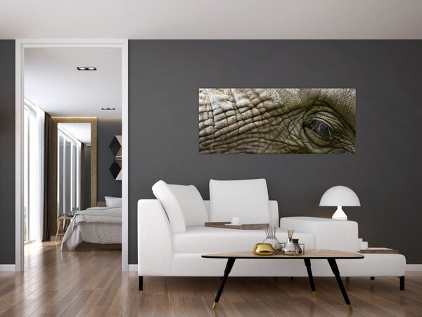 Tablou - Prim-planul ochiului de elefant vechi (120x50 cm)