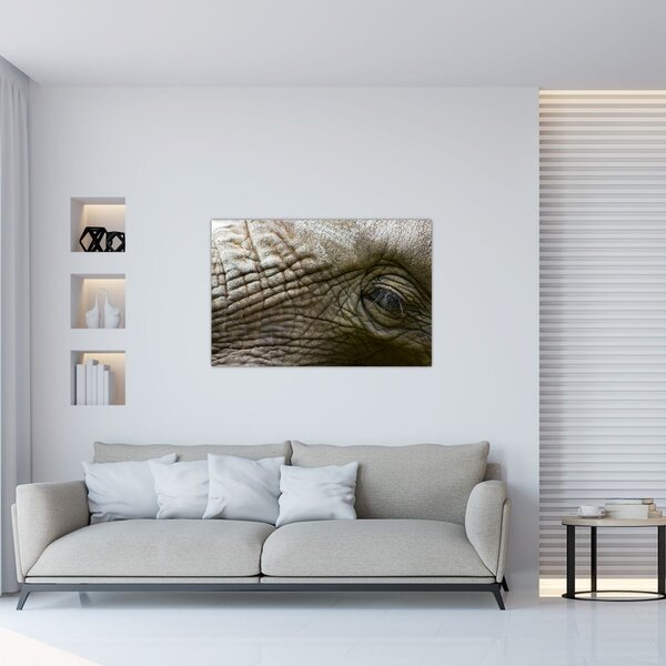 Tablou - Prim-planul ochiului de elefant vechi (90x60 cm)