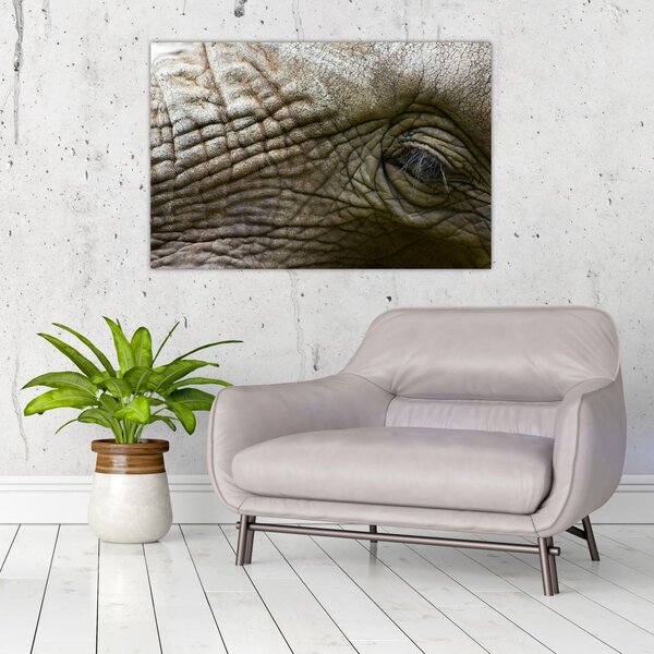 Tablou - Prim-planul ochiului de elefant vechi (90x60 cm)