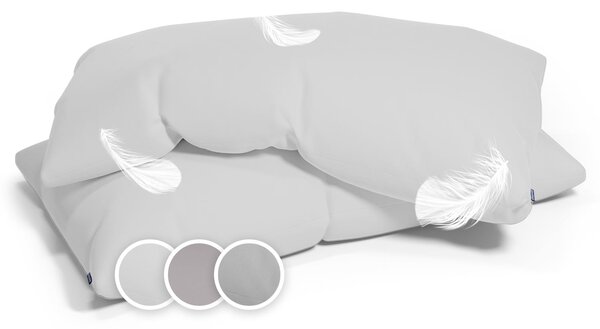 Sleepwise Soft Wonder-Edition, fețe de pernă, set de 2 bucăți, 40 × 80 cm, microfibră