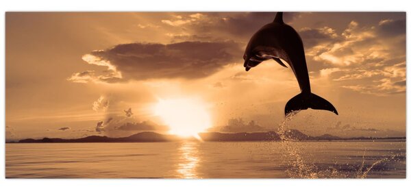 Tablou - Delfin la apus de soare (120x50 cm)