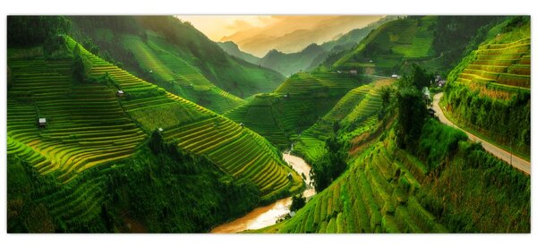 Tablou - Terase de orez Mu Cang Chai (120x50 cm)
